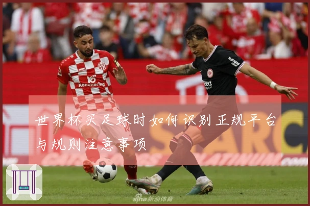 世界杯买足球时如何识别正规平台与规则注意事项