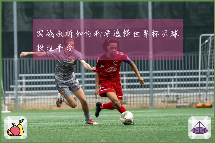 实战剖析如何科学选择世界杯买球投注平台