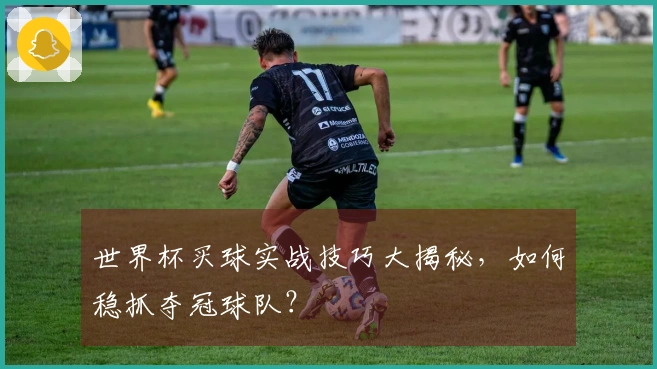 世界杯买球实战技巧大揭秘，如何稳抓夺冠球队？