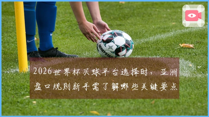 2026世界杯买球平台选择时,亚洲盘口规则新手需了解哪些关键要点