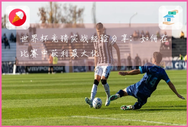 世界杯竞猜实战经验分享：如何在比赛中获利最大化