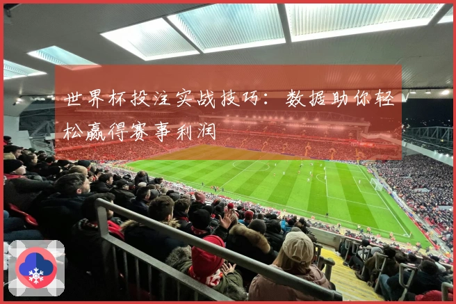 世界杯投注实战技巧：数据助你轻松赢得赛事利润