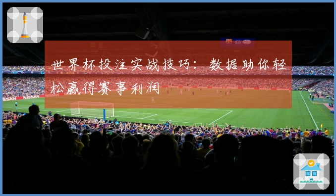 世界杯投注实战技巧：数据助你轻松赢得赛事利润