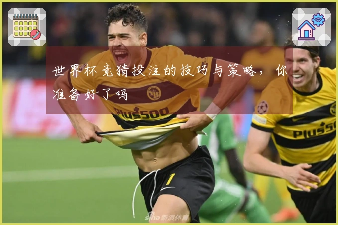 世界杯竞猜投注的技巧与策略，你准备好了吗