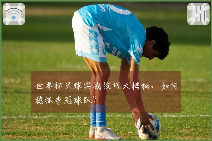 世界杯买球实战技巧大揭秘，如何稳抓夺冠球队？