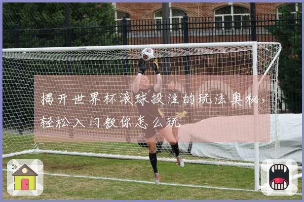 揭开世界杯滚球投注的玩法奥秘，轻松入门教你怎么玩